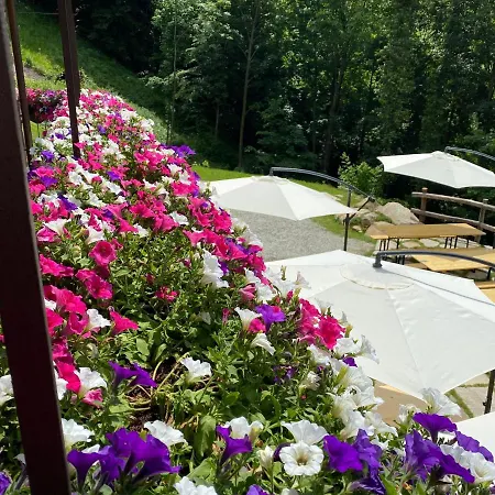 Gasthof Rifugio Nel Bosco Di Alice *