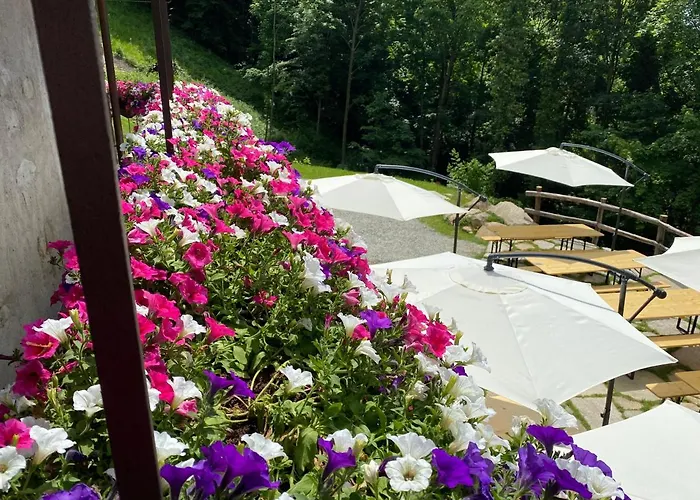 Han/Misafirhane Rifugio Nel Bosco Di Alice *