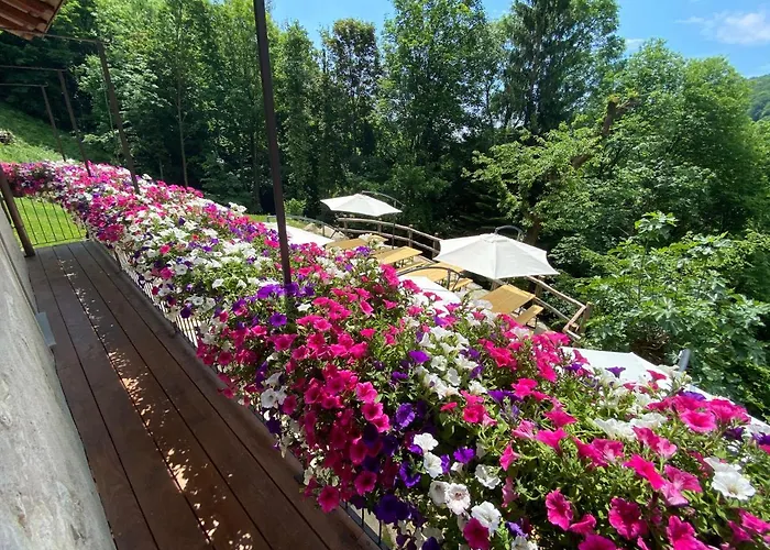 Rifugio Nel Bosco Di Alice Sordevolo
